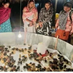 मुर्गीपालन से बदली अनुसुइया नेताम की जिंदगी