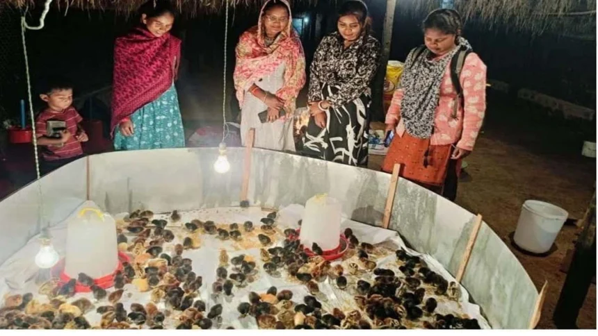 मुर्गीपालन से बदली अनुसुइया नेताम की जिंदगी