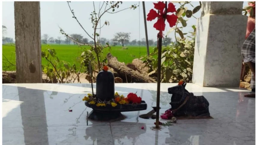 महतारी वंदन की राशि से बना शिव मंदिर: देवपुर की महिलाओं ने दिखाई सामूहिकता और आस्था की मिसाल