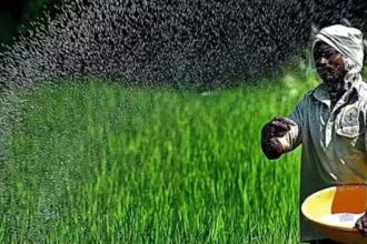 किसानों को अग्रिम उर्वरक उठाव के लिए करें प्रोत्साहित-कलेक्टर प्रजापति