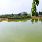 प्रधानमंत्री मत्स्य संपदा योजना