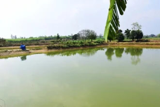 प्रधानमंत्री मत्स्य संपदा योजना