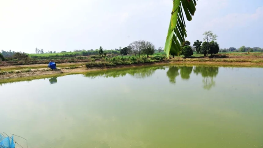 प्रधानमंत्री मत्स्य संपदा योजना