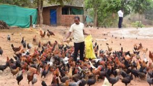 मछली पालन और कृषि से ग्राम पल्ली के किसान पाकलू मरकाम हुए सशक्त