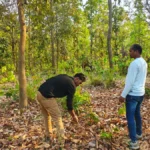 बाघ गणना का कार्य सफलतापूर्वक संपन्न