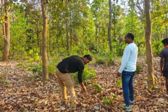 बाघ गणना का कार्य सफलतापूर्वक संपन्न