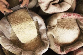 जिले के सभी 516 राशन दुकानों मे एक साथ मनाया जाएगा चावल उत्सव