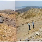 बंजर डंप क्षेत्र से हरा-भरा जंगल बनने की ओर गेवरा की अनूठी पहल