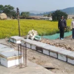 मधुमक्खी पालन: कम लागत में ज्यादा मुनाफे का बेहतर विकल्प