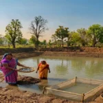 वर्ष 2025-26 अंतर्गत जिले में 501 आजीविका डबरी का निर्माण