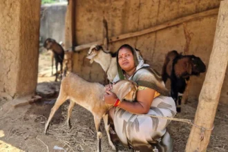 बिहान योजना से बदली जिंदगी: बकरी पालन से इंद्रनिया बाई बनीं ‘लखपति दीदी’