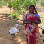 बकरी पालन बना आजीविका का सशक्त माध्यम, मुख्यमंत्री के प्रति जताया आभार