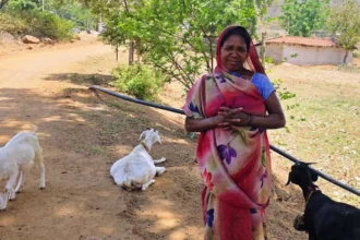 बकरी पालन बना आजीविका का सशक्त माध्यम, मुख्यमंत्री के प्रति जताया आभार