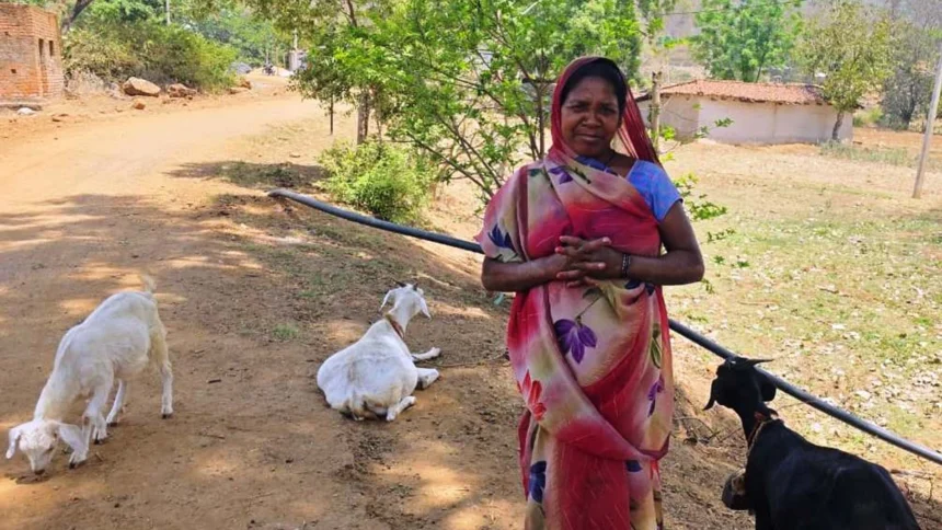 बकरी पालन बना आजीविका का सशक्त माध्यम, मुख्यमंत्री के प्रति जताया आभार