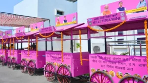 हितग्राहियों को मिलेट कार्ट एवं चैक का किया गया वितरण