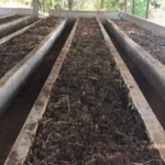 वर्मी कंपोस्ट उत्पादन बनी आत्मनिर्भरता की मिसाल