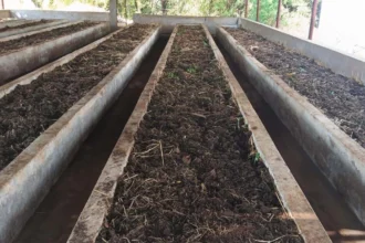 वर्मी कंपोस्ट उत्पादन बनी आत्मनिर्भरता की मिसाल