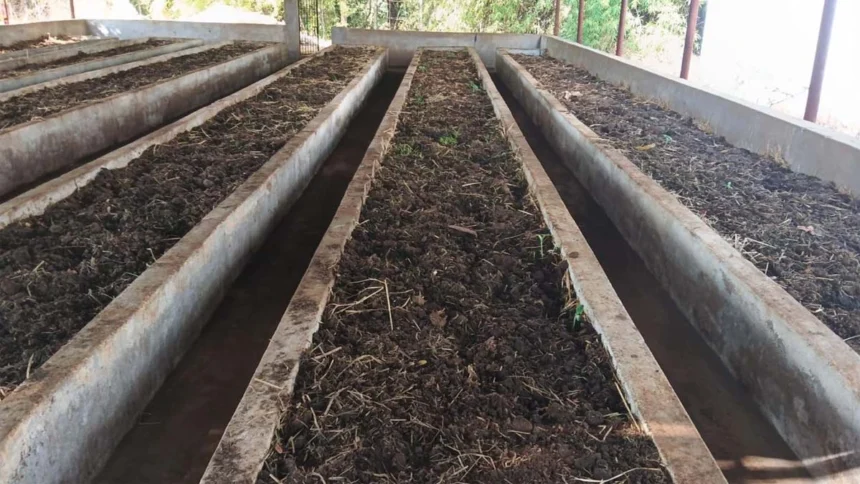 वर्मी कंपोस्ट उत्पादन बनी आत्मनिर्भरता की मिसाल