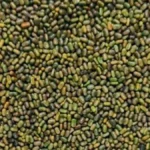 रासायनिक खाद पर निर्भरता घटाने की पहल