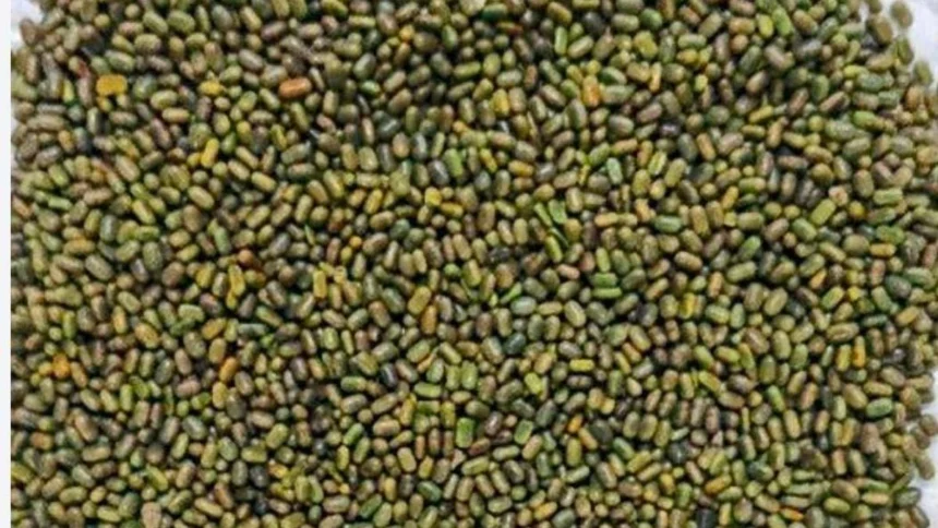 रासायनिक खाद पर निर्भरता घटाने की पहल