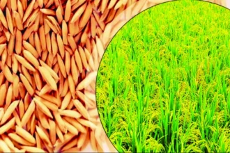 प्रधानमंत्री सूक्ष्म खाद्य उद्योग उन्नयन योजना वर्ष 2026-27 के अंतर्गत ऑनलाइन आवेदन आमंत्रित