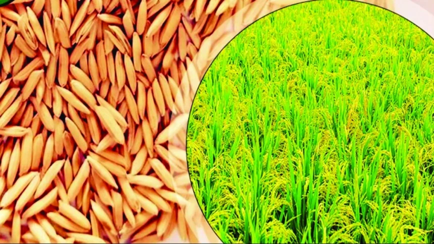 प्रधानमंत्री सूक्ष्म खाद्य उद्योग उन्नयन योजना वर्ष 2026-27 के अंतर्गत ऑनलाइन आवेदन आमंत्रित