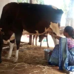 बिहान से बदली जिंदगी: गुंजवती पेगड़ बनीं “लखपति दीदी”