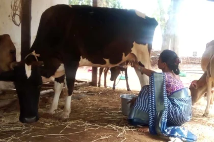 बिहान से बदली जिंदगी: गुंजवती पेगड़ बनीं “लखपति दीदी”