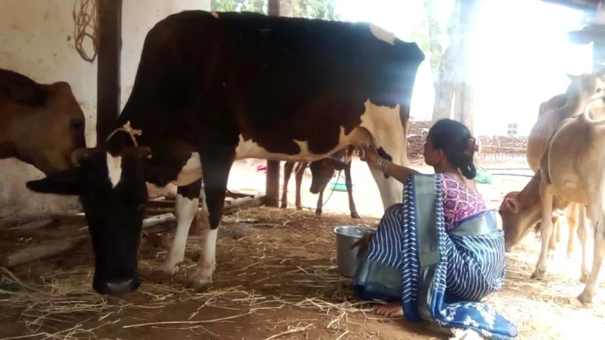 बिहान से बदली जिंदगी: गुंजवती पेगड़ बनीं “लखपति दीदी”