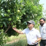 पारंपरिक धान खेती छोड़ वैकल्पिक फसलों से दोगुनी-तीन गुनी आय, बने प्रदेश के किसानों के लिए प्रेरणा