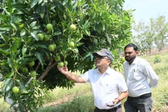 पारंपरिक धान खेती छोड़ वैकल्पिक फसलों से दोगुनी-तीन गुनी आय, बने प्रदेश के किसानों के लिए प्रेरणा