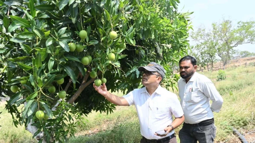 पारंपरिक धान खेती छोड़ वैकल्पिक फसलों से दोगुनी-तीन गुनी आय, बने प्रदेश के किसानों के लिए प्रेरणा