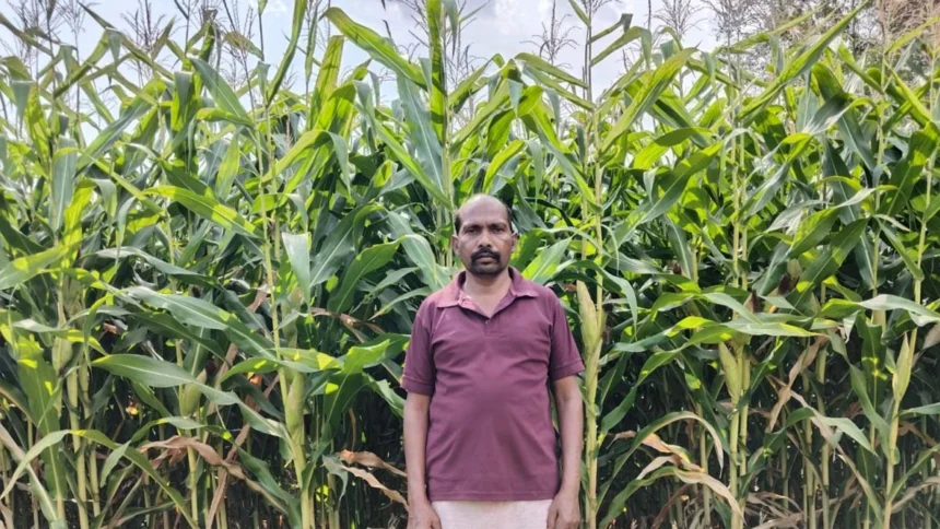 कम पानी, कम लागत और बेहतर मुनाफे की दिशा में बढ़ते कदम