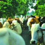 जिला दण्डाधिकारी ने जारी किया आदेश