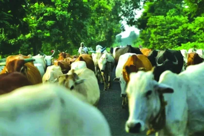 जिला दण्डाधिकारी ने जारी किया आदेश