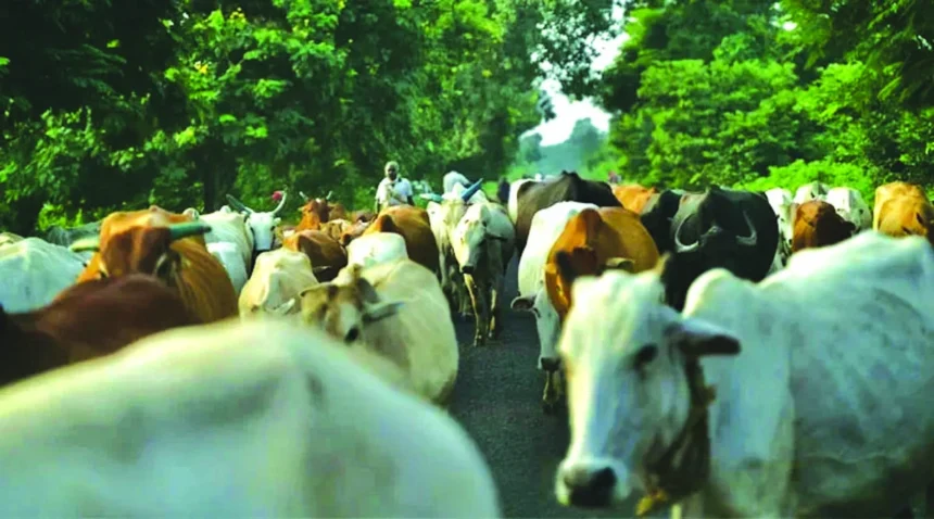 जिला दण्डाधिकारी ने जारी किया आदेश