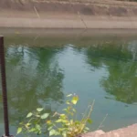 सुशासन तिहार में ग्रामीणों की मांग पर तांदुला जलाशय से नदी और नहरों में छोड़ा गया पानी