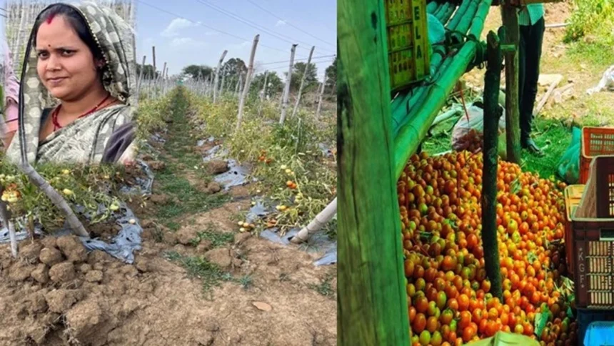 पशु पालन और सब्जी बाड़ी व्यवसाय से लखपति दीदी बन परिवार का सपना पूरा कर रही हैं निधि तिवारी