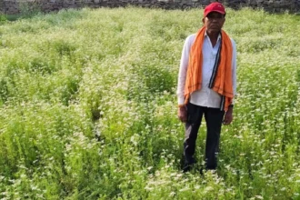 राष्ट्रीय बागवानी मिशन अंतर्गत धनिया की खेती से किसान रतिराम की बढ़ी आय