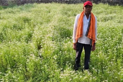 राष्ट्रीय बागवानी मिशन अंतर्गत धनिया की खेती से किसान रतिराम की बढ़ी आय