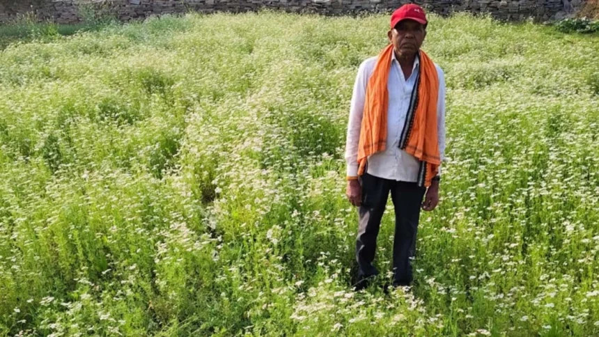 राष्ट्रीय बागवानी मिशन अंतर्गत धनिया की खेती से किसान रतिराम की बढ़ी आय