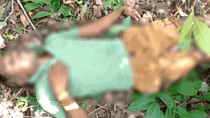 हादसा: तेंदूपत्ता तोड़ने गया युवक 50 फीट ऊंचे पेड़ से गिरा, बीवी के सामने पति की मौत