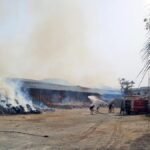 तेंदूपत्ता गोदाम में लगी भीषण आग से 10 करोड़ का नुकसान, हटाए गए डीएफओ रमेश कुमार; सुरक्षा व्यवस्था पर उठे सवाल