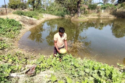 मनरेगा योजना से बीजापुर के किसान की आय में रिकॉर्ड बढ़ोतरी