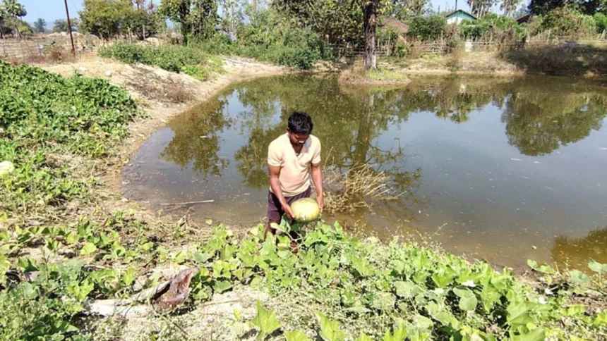 मनरेगा योजना से बीजापुर के किसान की आय में रिकॉर्ड बढ़ोतरी