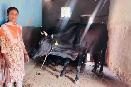 बिहान योजना और पशुपालन प्रोत्साहन योजना से मिला नया जीवन संबल