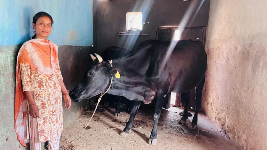 बिहान योजना और पशुपालन प्रोत्साहन योजना से मिला नया जीवन संबल