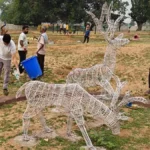 दुलदुला में स्वच्छता श्रमदान एवं वृक्षारोपण कर पर्यावरण संरक्षण का लिया गया संकल्प