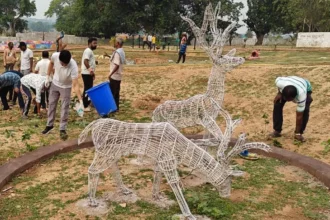 दुलदुला में स्वच्छता श्रमदान एवं वृक्षारोपण कर पर्यावरण संरक्षण का लिया गया संकल्प