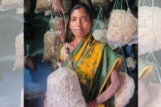 फोटो कॉपी और मशरूम एवं महुआ व्यवसाय से बबली यादव की बढ़ी आय